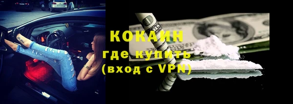 тгк Алексин