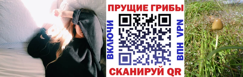 Псилоцибиновые грибы ЛСД  Саранск 